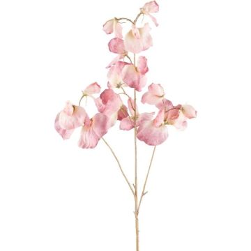 Dekorativ kvist Lathyrus latifolius SLIRKEN, ljusrosa, 75cm Dekorativ kvist Lathyrus latifolius SLIRKEN, ljusrosa, 75cm