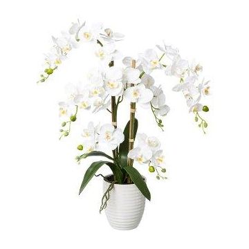 Konstgjord Phalaenopsis-orkidé LUKREN i keramikkruka, rötter, vit, 65cm
