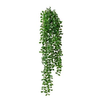 Dekorativ hängare Columnea KOLHIN, stickpinne, grön, 85cm