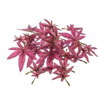 Dekorationsblad japansk lönn FANTIN, 24 stycken, cerise, Ø7-9cm Dekorationsblad japansk lönn FANTIN, 24 stycken, cerise, Ø7-9cm