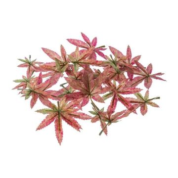 Dekorationsblad japansk lönn FANTIN, 24 stycken, grön-rosa, Ø7-9cm Dekorationsblad japansk lönn FANTIN, 24 stycken, grön-rosa, Ø7-9cm