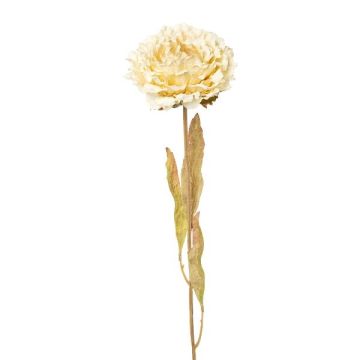 Dekorationsblomma pion MASNOR, torkad look, krämfärgad, 65cm Dekorationsblomma pion MASNOR, torkad look, krämfärgad, 65cm