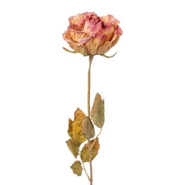 Dekorationsblomma ros PANSOK, torkad look, rosa-persik, 55cm, Ø7cm