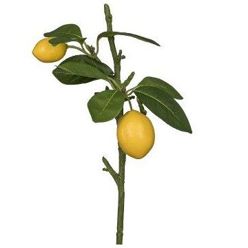 Konstgjord gren med citron ADELAIDA och frukter, gul, 35cm