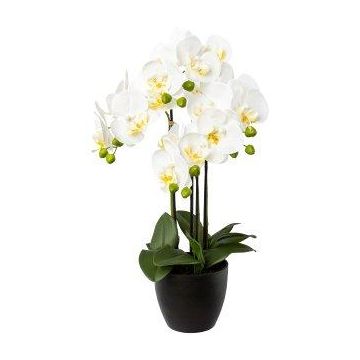 Konstgjord Phalaenopsis-orkidé UKERNA i kruka av harts, vit, 55cm Konstgjord Phalaenopsis-orkidé UKERNA i kruka av harts, vit, 55cm