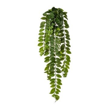 Konsthängare Columnea STRAHO, stickpinne, grön, 85cm