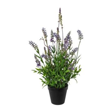 Dekorationsblomma lavendel SMORLI i dekorativ kruka, lila, 50cm Dekorationsblomma lavendel SMORLI i dekorativ kruka, lila, 50cm