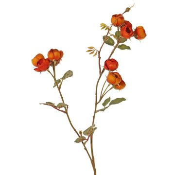 Konstgjord kålroskvist LORRAINE, Eco Collection, orange-gul, 60cm, Ø3cm Konstgjord kålroskvist LORRAINE, Eco Collection, orange-gul, 60cm, Ø3cm