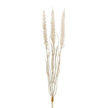 Konstgräs för lampor ALOGUI, stickor, tofsar, beige, 50cm Konstgräs för lampor ALOGUI, stickor, tofsar, beige, 50cm