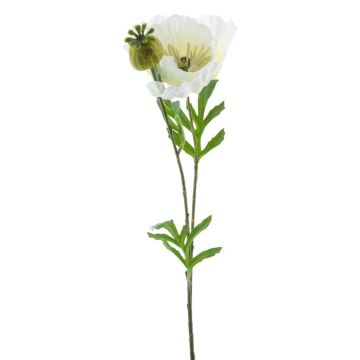 Dekorativ vallmo EDESSA, vit, 80cm, Ø11cm Dekorativ vallmo EDESSA, vit, 80cm, Ø11cm