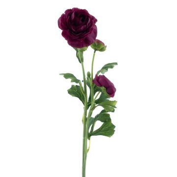 Konstblomma ranunkel PROTO, mörkvioletta, 65cm Konstblomma ranunkel PROTO, mörkvioletta, 65cm