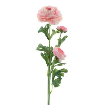 Konstblomma ranunkel PROTO, ljusrosa, 65cm Konstblomma ranunkel PROTO, ljusrosa, 65cm
