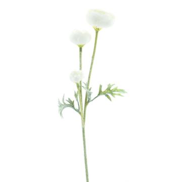 Dekorativ gren med ranunkel TRITO, krämfärgad, 35cm Dekorativ gren med ranunkel TRITO, krämfärgad, 35cm