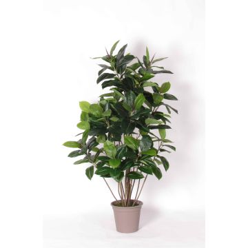 Konstgjord gummiträd LAURINTU, naturstammar, grön, 150cm - Tillverkad i Italien Konstgjord gummiträd LAURINTU, naturstammar, grön, 150cm - Tillverkad i Italien