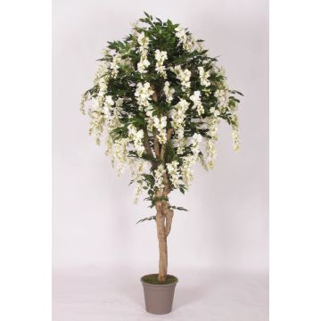 Konstgjord blåregn ERLINA, äkta stam, med blommor, vit, 200cm - Tillverkad i Italien