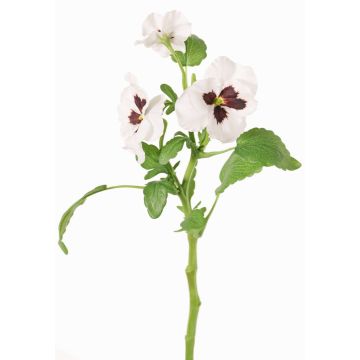 Dekorativ kvist med penséer SIANIE, vit-vinröd, 35cm, Ø5-6,5cm Dekorativ kvist med penséer SIANIE, vit-vinröd, 35cm, Ø5-6,5cm