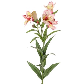 Dekorativ kvist, inkalilja AUBERTA, rosa-cerise-gul, 75cm, Ø6cm Dekorativ kvist, inkalilja AUBERTA, rosa-cerise-gul, 75cm, Ø6cm