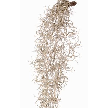 Konstgjord Tillandsia usneoides LIVADI på pinne, grå, 115cm Konstgjord Tillandsia usneoides LIVADI på pinne, grå, 115cm