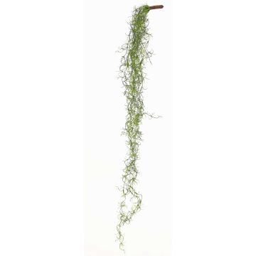 Tillandsia Usneoides, konstgjord LIVADI på stödpinne, grön, 115cm Tillandsia Usneoides, konstgjord LIVADI på stödpinne, grön, 115cm