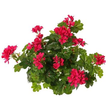 Konstgjord pelargon MIA på stativ, cerise, 40cm, Ø5-8cm Konstgjord pelargon MIA på stativ, cerise, 40cm, Ø5-8cm