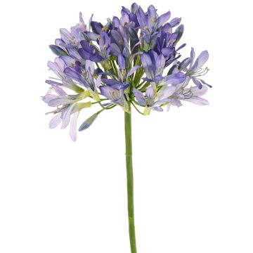 Konstgjord agapanthusblomma KAFENA, blå-lila, 90cm, Ø20cm Konstgjord agapanthusblomma KAFENA, blå-lila, 90cm, Ø20cm