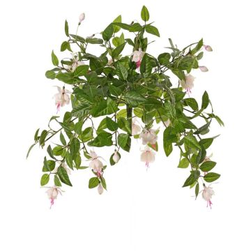Konstgjord fuchsia KROUSIA, med stödpinne, vit-cerise, 30cm, Ø5cm Konstgjord fuchsia KROUSIA, med stödpinne, vit-cerise, 30cm, Ø5cm