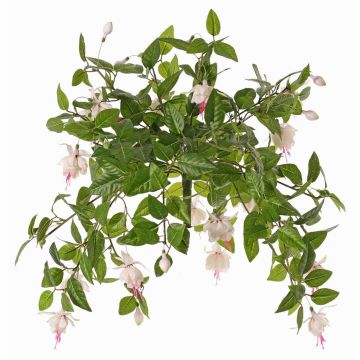 Konstgjord fuchsia KROUSIA, med stödpinne, vit-cerise, 30cm, Ø5cm Konstgjord fuchsia KROUSIA, med stödpinne, vit-cerise, 30cm, Ø5cm