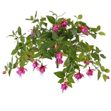 Konstgjord fuchsia KROUSIA, stickpinne, cerise-violett, 30cm, Ø5cm Konstgjord fuchsia KROUSIA, stickpinne, cerise-violett, 30cm, Ø5cm