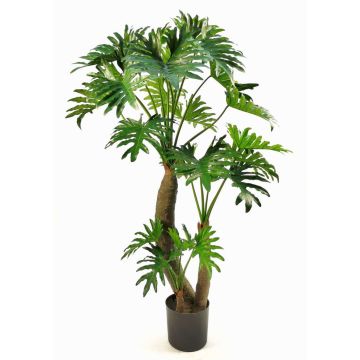 Konstgjord växt Philodendron Selloum DONIS, konstgjorda stammar, 180cm Konstgjord växt Philodendron Selloum DONIS, konstgjorda stammar, 180cm