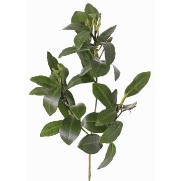 Konstgjord mangrovegren USTERA, knoppar, svårantändlig, grön, 60cm