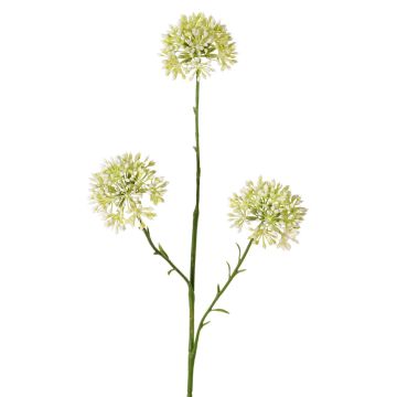Dekorativ alliumkvist ALIKIO, vit, 65cm, Ø7cm Dekorativ alliumkvist ALIKIO, vit, 65cm, Ø7cm