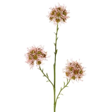 Konstgjord alliumkvist ZEBU, rosa, 65cm, Ø7cm Konstgjord alliumkvist ZEBU, rosa, 65cm, Ø7cm