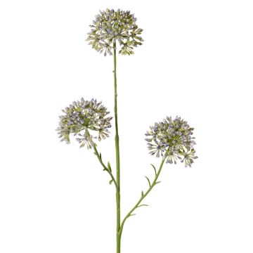 Dekorativ alliumkvist ALIKIO, blå, 65cm, Ø7cm Dekorativ alliumkvist ALIKIO, blå, 65cm, Ø7cm