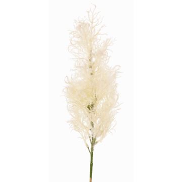 Dekorativ kvist av perukbuske RADERAS med blommor, krämfärgad, 70cm, Ø10cm Dekorativ kvist av perukbuske RADERAS med blommor, krämfärgad, 70cm, Ø10cm