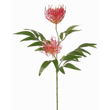 Konstgjord silverbärkvist VULKINTA med blommor, cerise, 75cm, Ø9-11cm