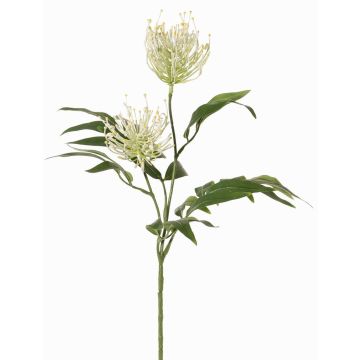 Konstgjord växt, gren av silverblad VULKINTA med blommor, vitgrön, 75cm, Ø9-11cm