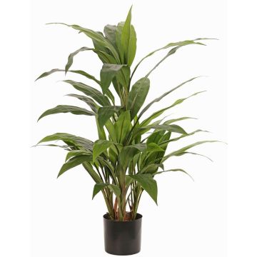 Konstgjord cordyline ORMOS, grön, 80cm