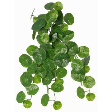 Stephania erecta konstväxt ANOGIA på stödpinne, grön, 50cm