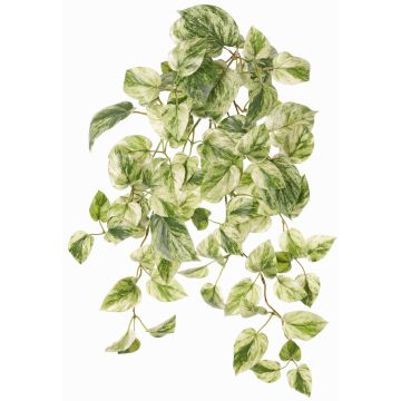 Konstgjord växt, hängande efebia SITIA, stödpinne, grön-vit, 50cm Konstgjord växt, hängande efebia SITIA, stödpinne, grön-vit, 50cm