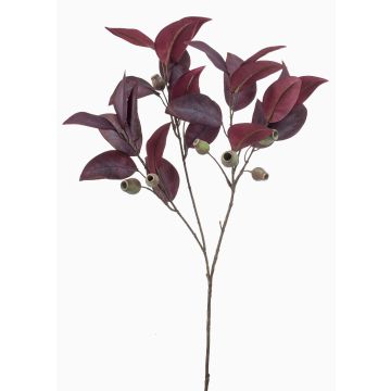 Konstgjord eukalyptusgren VIZIMIR med frukter, vinröd, 80cm Konstgjord eukalyptusgren VIZIMIR med frukter, vinröd, 80cm