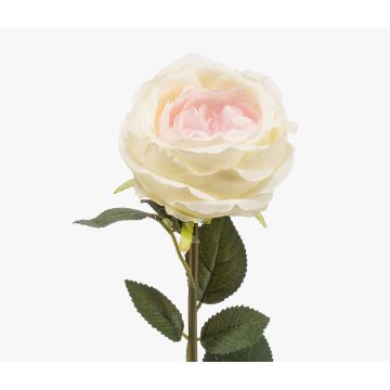 Konstgjord ros THYRI, krämrosa, 65cm, Ø10cm Konstgjord ros THYRI, krämrosa, 65cm, Ø10cm