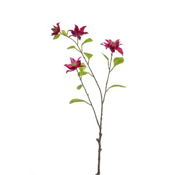 Dekorativ kvist av klättervin RUHNA, cerise, 75cm Dekorativ kvist av klättervin RUHNA, cerise, 75cm