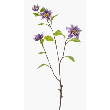 Dekorativ kvist av klättervin RUHNA, lila, 75cm Dekorativ kvist av klättervin RUHNA, lila, 75cm