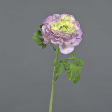 Konstblomma ranunkel KRISTY, lila-krämfärgad, 60cm, Ø10cm Konstblomma ranunkel KRISTY, lila-krämfärgad, 60cm, Ø10cm