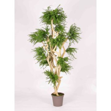 Konstgjord Abelia DIMYTRO med naturstammar, crossdoor, grön, 185cm - Tillverkad i Italien