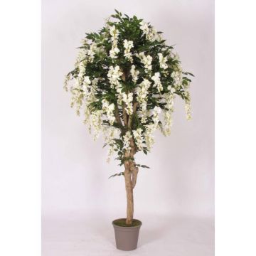 Konstgjord blåregn ERLINA, äkta stam, med blommor, vit, 175cm - Tillverkad i Italien