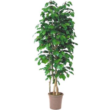 Konstgjord ek MIREEN, naturliga stammar, med frukter, grön, crossdoor, 150cm - Tillverkad i Italien