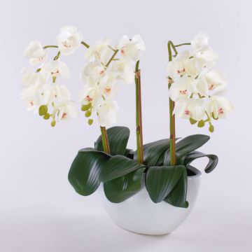 Konstgjord Phalaenopsis-orkidé JASMIN i keramikskål, vit, 40cm