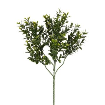 Konstgjord buxbomskvist TOM, crossdoor, 45cm