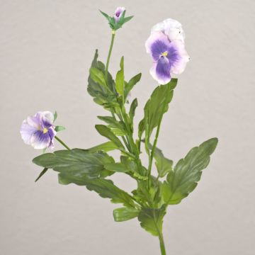 Konstgjord penségren SILANA, vit-violett, 30cm, Ø3-6cm Konstgjord penségren SILANA, vit-violett, 30cm, Ø3-6cm